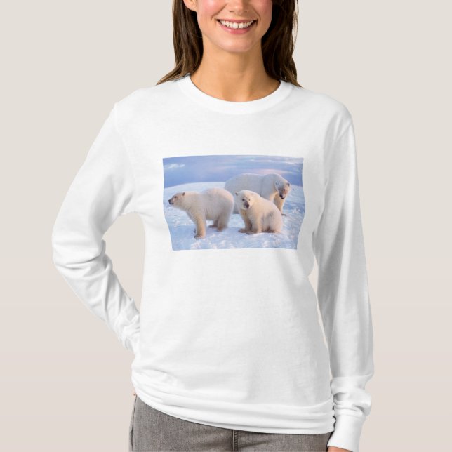 Polar bear sow with cubs on pack ice of coastal T-Shirt (Front)