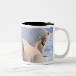 Polar bear sow with cubs on pack ice of coastal Two-Tone coffee mug