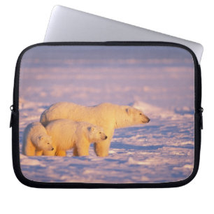 Polar bear sow with spring cubs on the frozen laptop sleeve