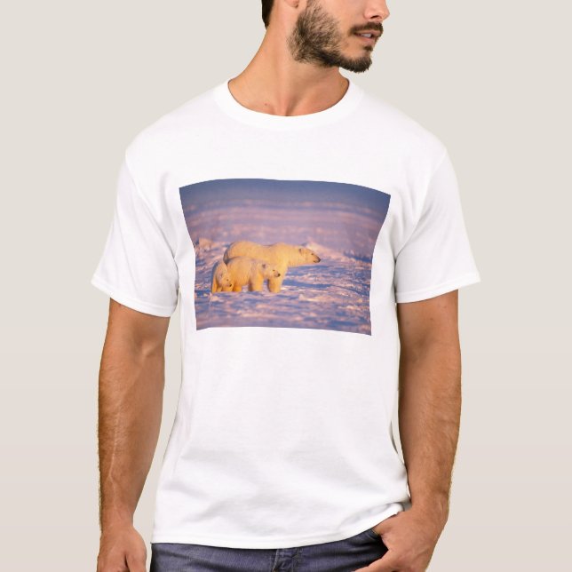 Polar bear sow with spring cubs on the frozen T-Shirt (Front)