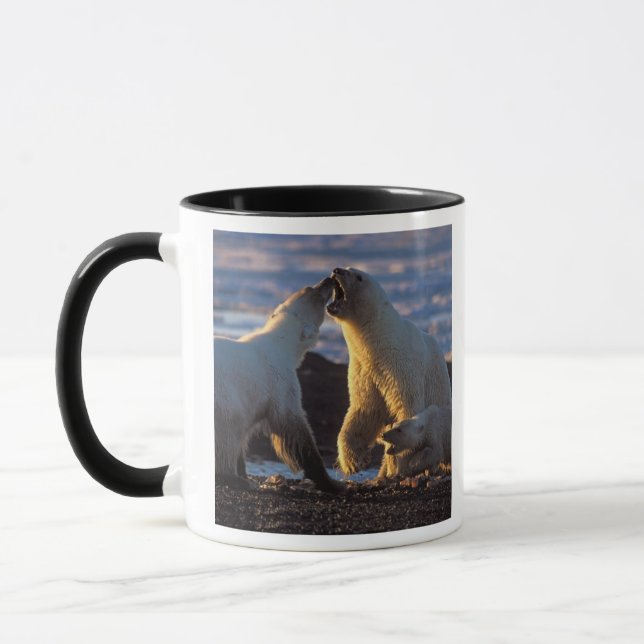 Polar bear sows with cub at side, 1002 coastal mug (Left)