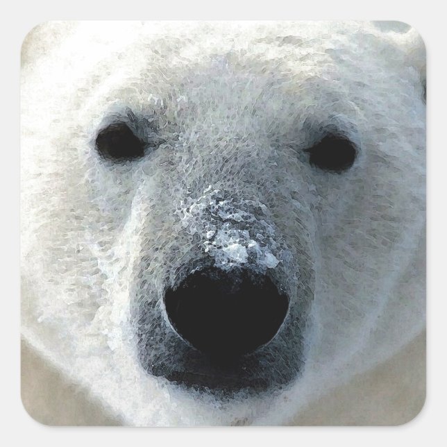 Polar Bear Square Sticker (Front)