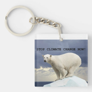 Polar Bear Stop Climate Change Now! Key Ring