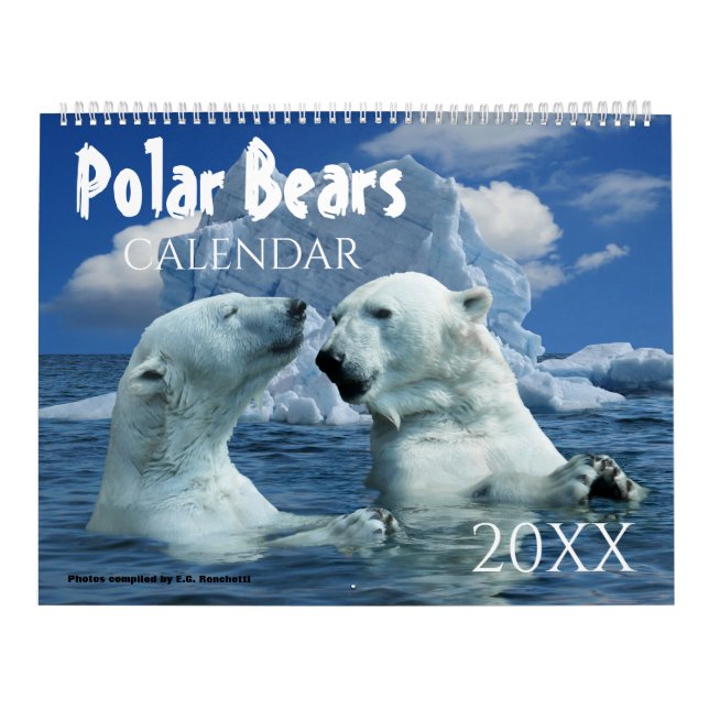 Polar Bear Themed 2027 Wall Calendar  (Cover)