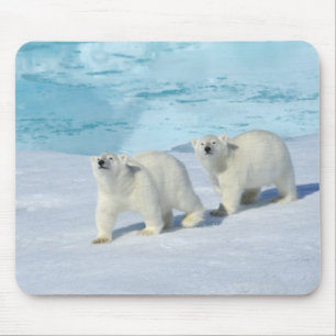 Polar bear, two cups on pack ice, Ursus Mouse Pad