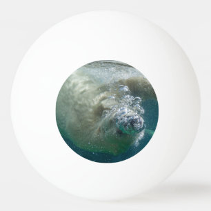Polar bear underwater ping pong ball