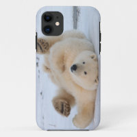 polar bear, Ursus maritimus, cub rolling 3