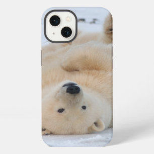 polar bear, Ursus maritimus, cub rolling 3 iPhone 13 Case