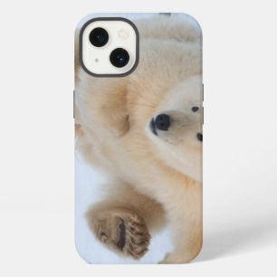 polar bear, Ursus maritimus, cub rolling 3 iPhone 13 Case