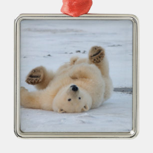 polar bear, Ursus maritimus, cub rolling 3 Metal Tree Decoration