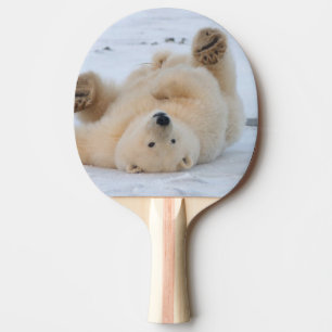 polar bear, Ursus maritimus, cub rolling 3 Ping Pong Paddle