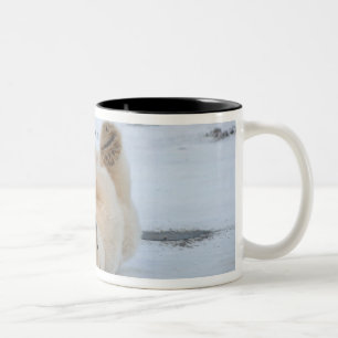 polar bear, Ursus maritimus, cub rolling 3 Two-Tone Coffee Mug