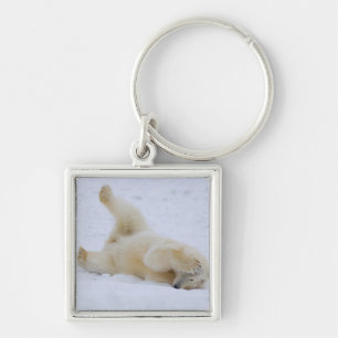 polar bear, Ursus maritimus, cub rolling Key Ring
