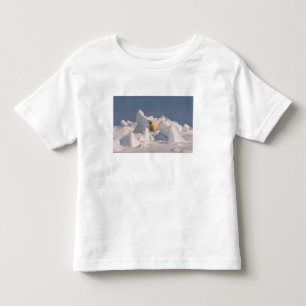 polar bear, Ursus maritimus, in rough ice Toddler T-Shirt