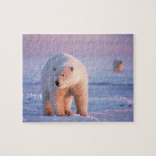 polar bear, Ursus maritimus Jigsaw Puzzle