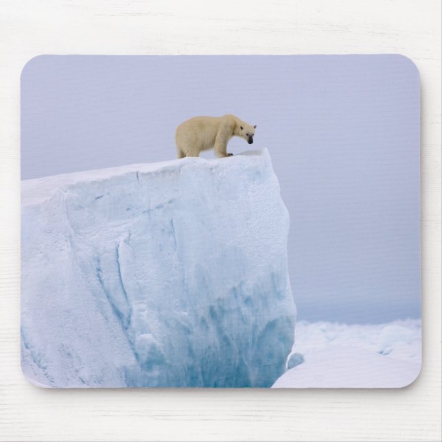 polar bear, Ursus maritimus Mouse Pad (Front)