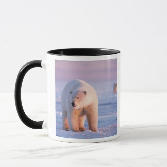 polar bear, Ursus maritimus Mug (Left)