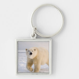 polar bear, Ursus maritimus, on ice and snow, 2 Key Ring