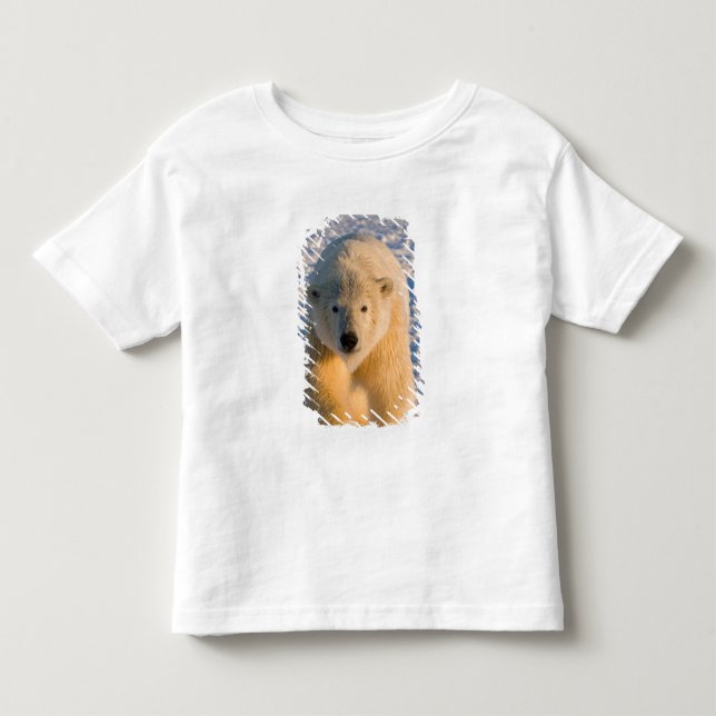 polar bear, Ursus maritimus, polar bear on ice Toddler T-Shirt (Front)