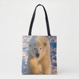 polar bear, Ursus maritimus, polar bear on ice Tote Bag