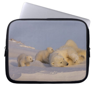 polar bear, Ursus maritimus, sow playing Laptop Sleeve