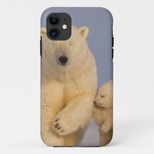 polar bear, Ursus maritimus, sow with newborn Case-Mate iPhone Case