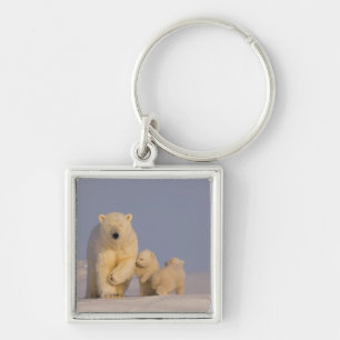polar bear, Ursus maritimus, sow with newborn Key Ring