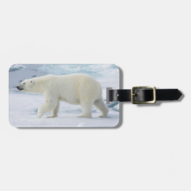 Polar bear walking, Norway Luggage Tag (Front Horizontal)