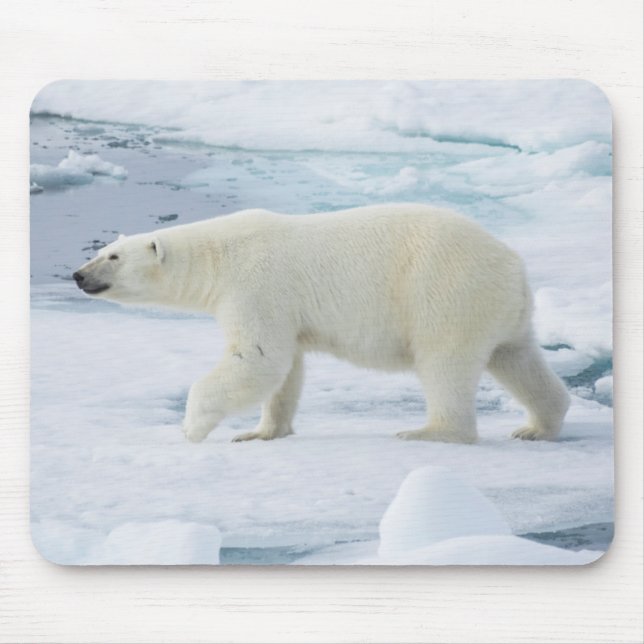 Polar bear walking, Norway Mouse Pad (Front)