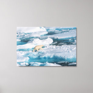 Polar Bear walking on the Sea Canvas Print