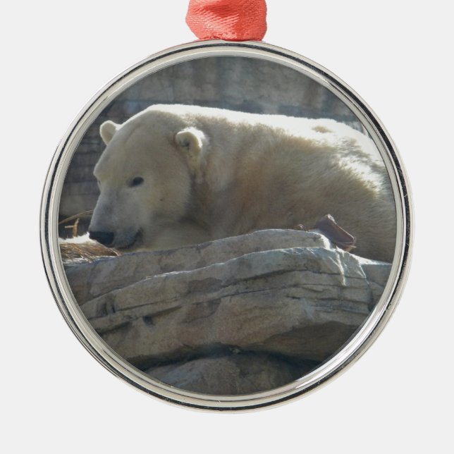 Polar Bear Wildlife Premium Round Ornament (Front)