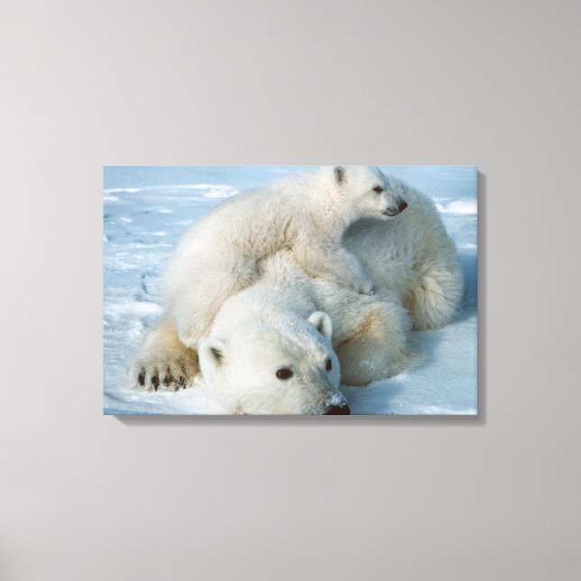 Polar_Bear_with_Cub Canvas Print (Front)