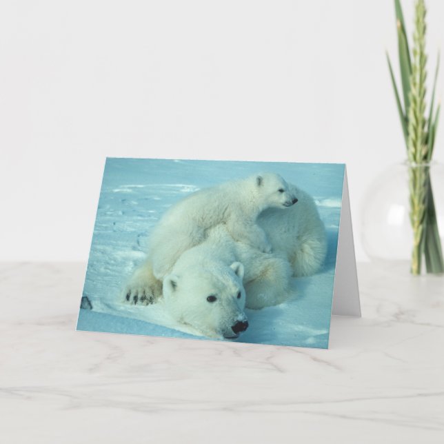Polar bear with cub card (Front)
