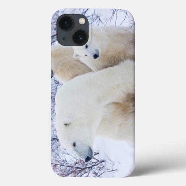Polar Bears and Two cubs Case-Mate iPhone Case (Back)