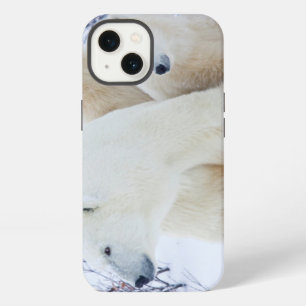 Polar Bears and Two cubs iPhone 13 Case