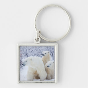 Polar Bears and Two cubs Key Ring