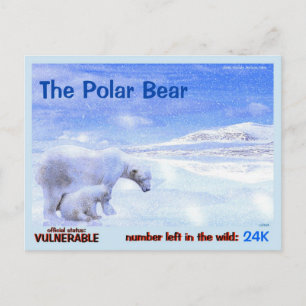 Polar Bears are Endangered, quick read this: Postcard