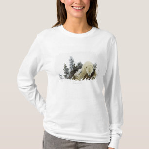 Polar Bears At Wapusk National Park T-Shirt