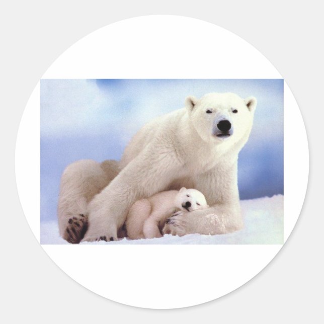 Polar Bears Classic Round Sticker (Front)