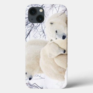 Polar Bears female and Two cubs 3 iPhone 13 Case