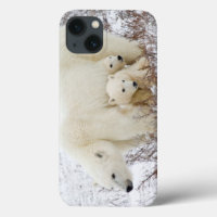 Polar Bears female and Two cubs