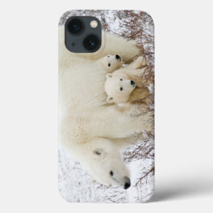 Polar Bears female and Two cubs iPhone 13 Case
