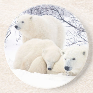 Polar Bears female and Two cubs Coaster