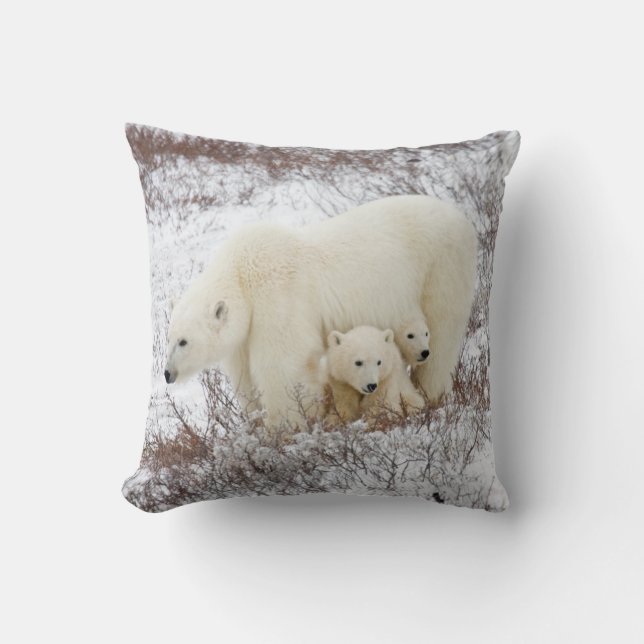 Polar Bears female and Two cubs Cushion (Front)