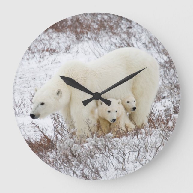 Polar Bears female and Two cubs Large Clock (Front)