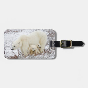 Polar Bears female and Two cubs Luggage Tag