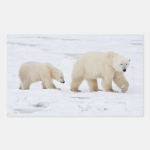 Polar Bears female and Two cubs Rectangular Sticker