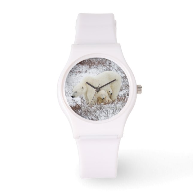 Polar Bears female and Two cubs Watch (Front)