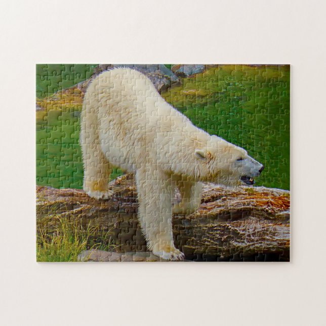 Polar Bears. Jigsaw Puzzle (Horizontal)