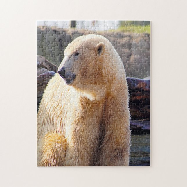 Polar Bears. Jigsaw Puzzle (Vertical)